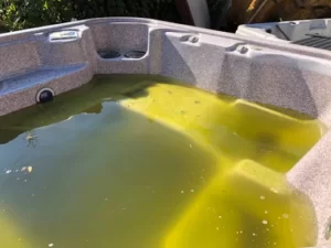 How To Clean Black Mold From Inflatable Hot Tub