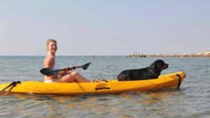 Can Dogs Go On Inflatable Kayaks