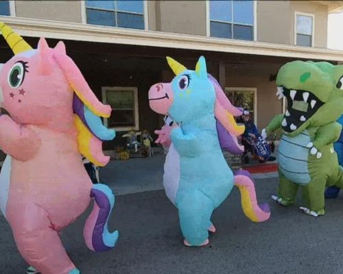 Inflatable Costumes And Mascots 