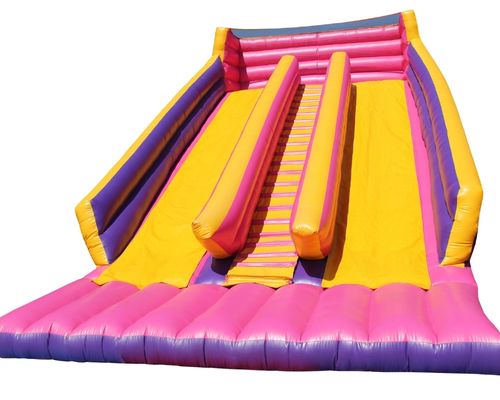 Double Water Slide Inflatable